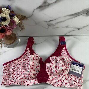 Catherines Intimates 44C No Wire Cotton Comfort Bra Cherry Stripe Lace Front